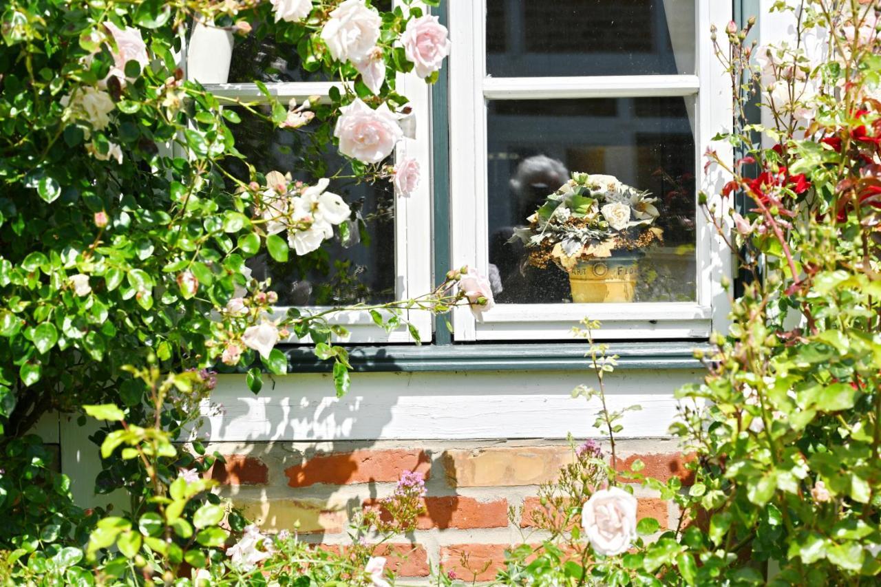 Landhaus Vilmnitz - Wohnung 10 Esterno foto