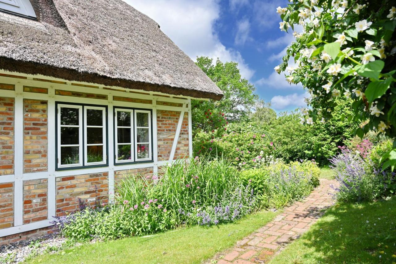 Landhaus Vilmnitz - Wohnung 10 Esterno foto