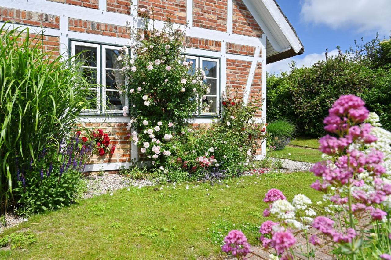 Landhaus Vilmnitz - Wohnung 10 Esterno foto